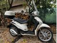 PIAGGIO LIBERTY 125 