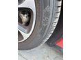 SMART FORTWO COUPE 2017/10 - 9