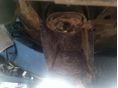 MITSUBISHI L 200 2000/5 - 4