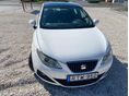 SEAT IBIZA 2009/1 - 10