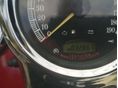 HARLEY-DAVIDSON SOFTAIL 2005/3 - 6