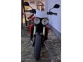 TRIUMPH STREET TRIPLE 675 2008/6 - 2