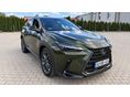 LEXUS NX 2023/10 - 2