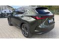LEXUS NX 2023/10 - 4
