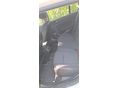 RENAULT MEGANE 2017/12 - 7