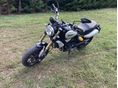 DUCATI SCRAMBLER 1100 2019/6 - 2