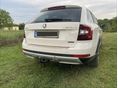 SKODA OCTAVIA 2019/6 - 4