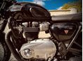TRIUMPH BONNEVILLE T100