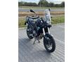 MORBIDELLI T502X 2026/3 - 3