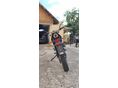 KSR MOTO TR 50 X 2019/2 - 3