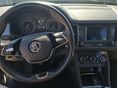 SKODA KODIAQ 2020/9 - 5