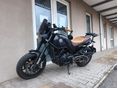 BENELLI LEONCINO 500 2018 - 2