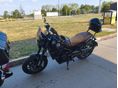 BENELLI LEONCINO 500 2018 - 9