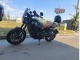 BENELLI LEONCINO 500 