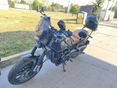 BENELLI LEONCINO 500 2018 - 10