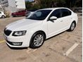 SKODA OCTAVIA 2016/10 - 2