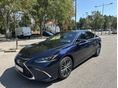 LEXUS ES 300h Prestiege CVT