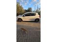 PEUGEOT 207 2010/10 - 3