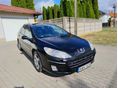 PEUGEOT 407 2008/10 - 1