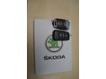 SKODA KODIAQ 2023/5 - 25