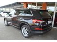 SKODA KODIAQ 2023/5 - 4