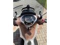 PIAGGIO BEVERLY 300 2019/8 - 5