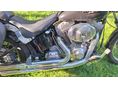 HARLEY-DAVIDSON SOFTAIL 2004/3 - 4