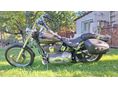 HARLEY-DAVIDSON SOFTAIL 