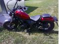 HONDA CMX 500 REBEL 2023 - 2