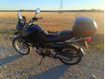 SUZUKI XF 650 (FREEWIND) 2000/2 - 1