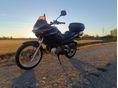 SUZUKI XF 650 (FREEWIND) 2000/2 - 4
