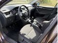 SKODA OCTAVIA 2019/7 - 7