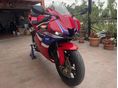 HONDA CBR 600 RR 2024/6 - 2