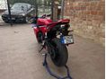 HONDA CBR 600 RR 2024/6 - 5