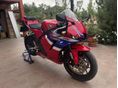 HONDA CBR 600 RR 2024/6 - 7