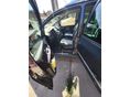 VOLKSWAGEN SHARAN 2006/12 - 5