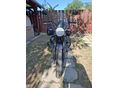 MOTO GUZZI V7 2022/8 - 4