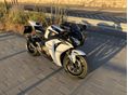 HONDA CBR 1000 RR 2008/2 - 5