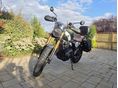 TRIUMPH SCRAMBLER 2024 - 2