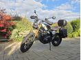 TRIUMPH SCRAMBLER 2024 - 3