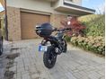 TRIUMPH SCRAMBLER 2024 - 6