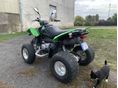 ARCTIC CAT DVX 250 2007/4 - 4