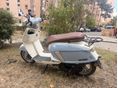 LINEA VINTAGE 2024/3 - 1