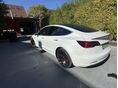 TESLA MODEL 3 2019/10 - 2