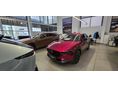 MAZDA CX-30 2.5 e-Skyactive Makoto KÉSZLETRŐL!! 360-os kamera! BOSE Audio! Kontakt-töltő! LED!