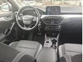 FORD FOCUS 2020/2 - 3