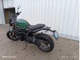 BENELLI LEONCINO 800 2022/6 - 3