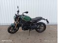 BENELLI LEONCINO 800 