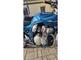 SUZUKI GSF 600 (BANDIT) 1998/4 - 3