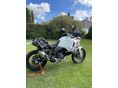 DUCATI DESERTX 2024/3 - 7